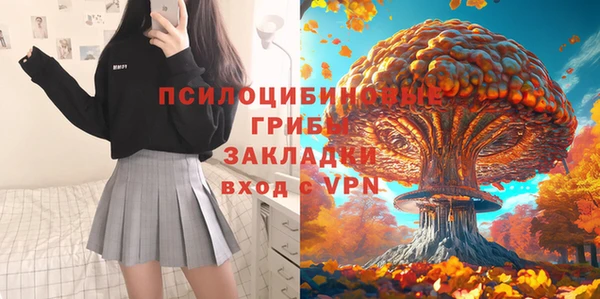 спайс Алексин