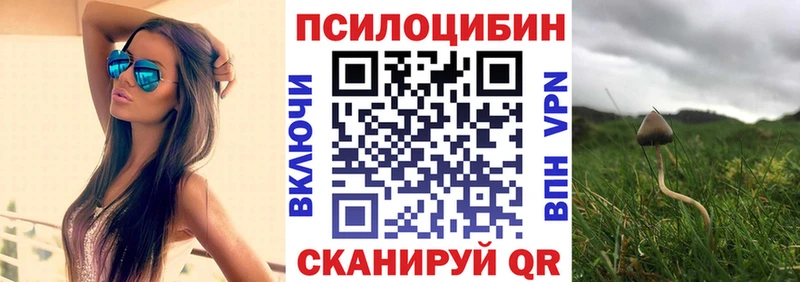 Псилоцибиновые грибы Psilocybine cubensis Астрахань