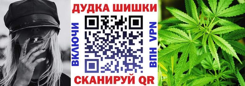Бошки Шишки планчик  Астрахань 